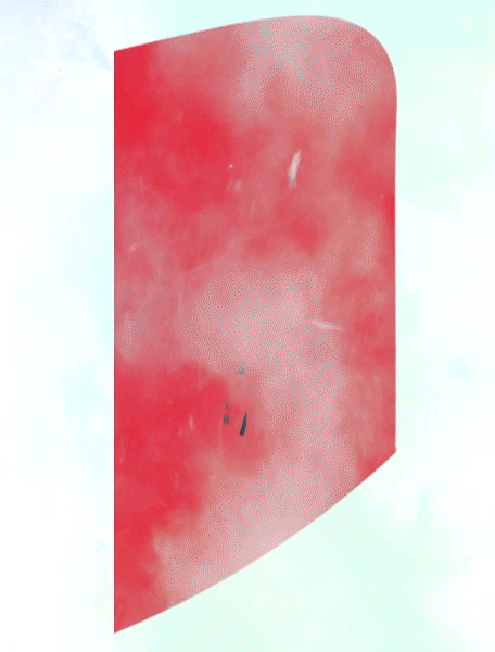 Estructura de Ensamble