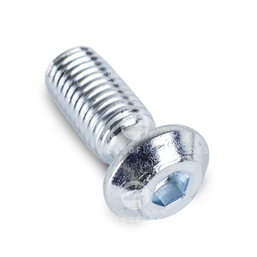 Button head screw S10